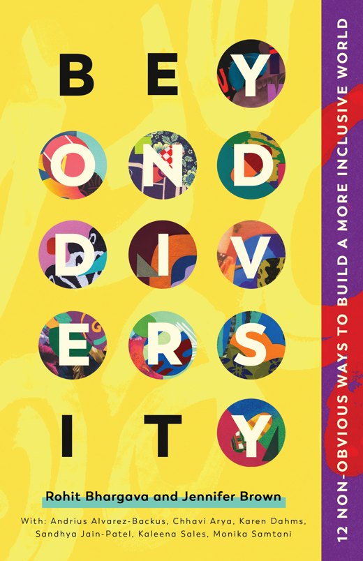 Beyond Diversity book cover