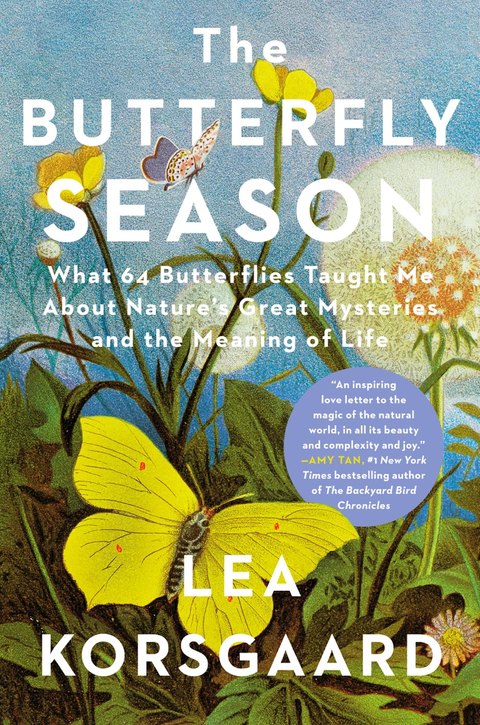 Cover of The Butterfly Season by Lea Korsgaard