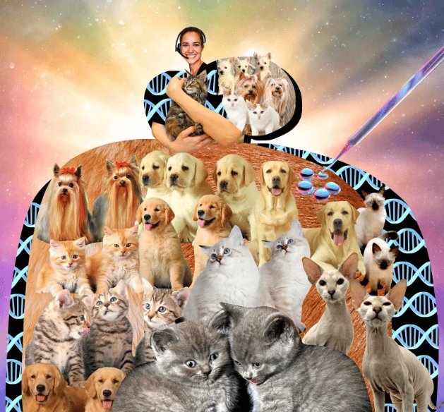 The Day After the Election, Pet Cloning, Irish Pub Museums and TIME's Best Inventions issue artwork
