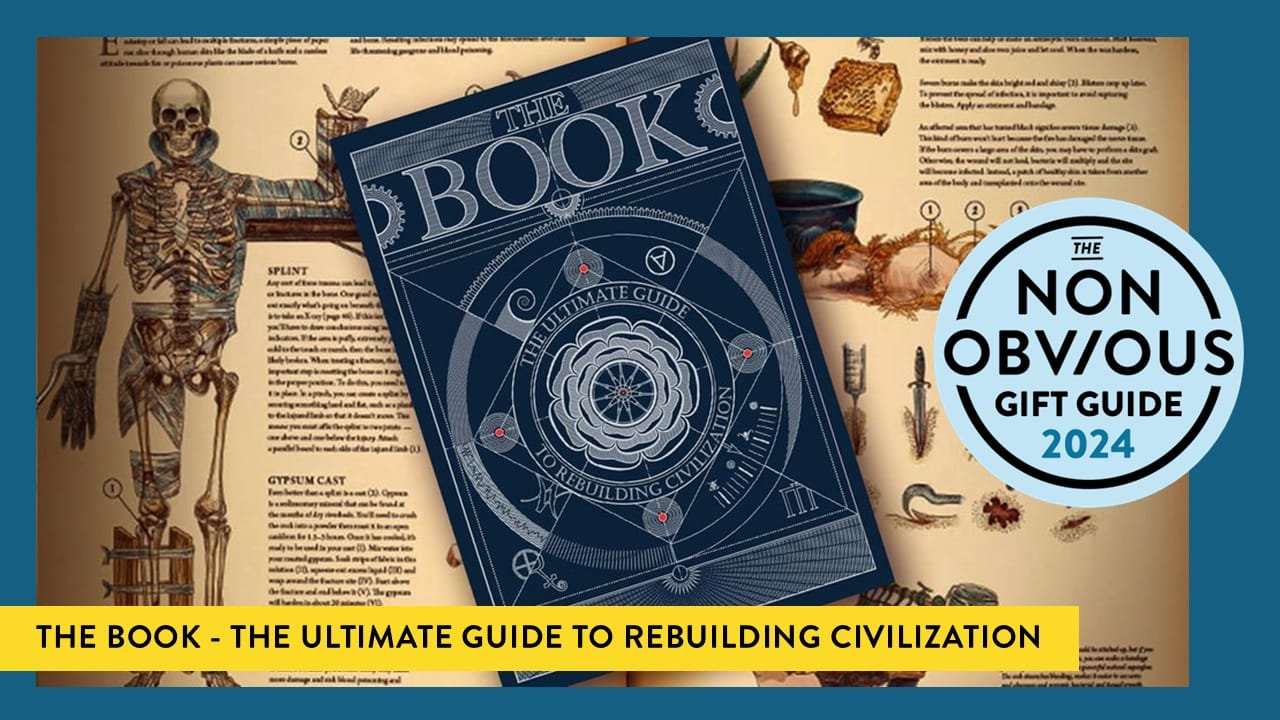The Non-Obvious 2024 Holiday Gift Guide + FREE Audio Book issue artwork