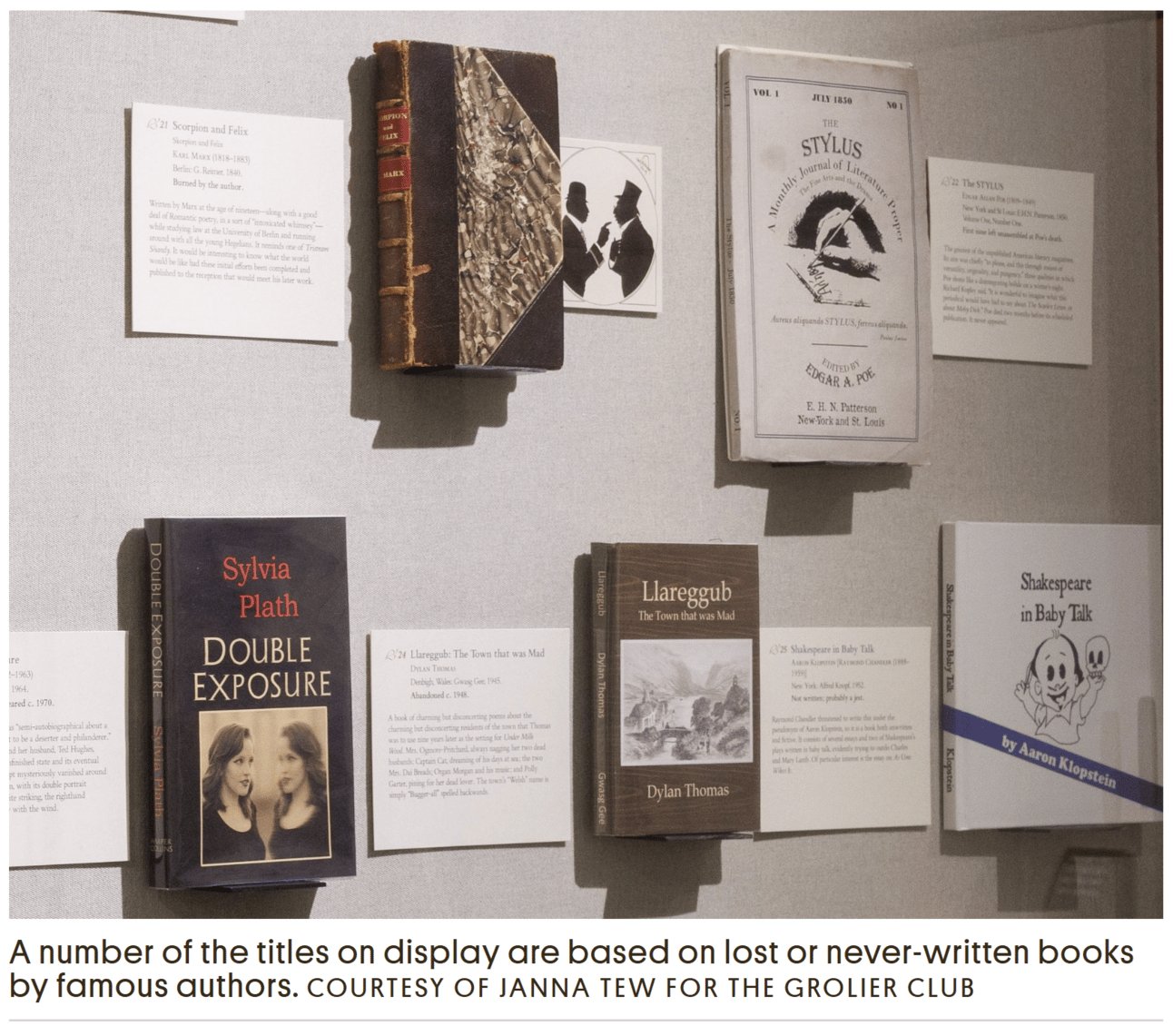 The Library of Imaginary Books, Notes From the Future In Dubai and How To Save DEI issue artwork