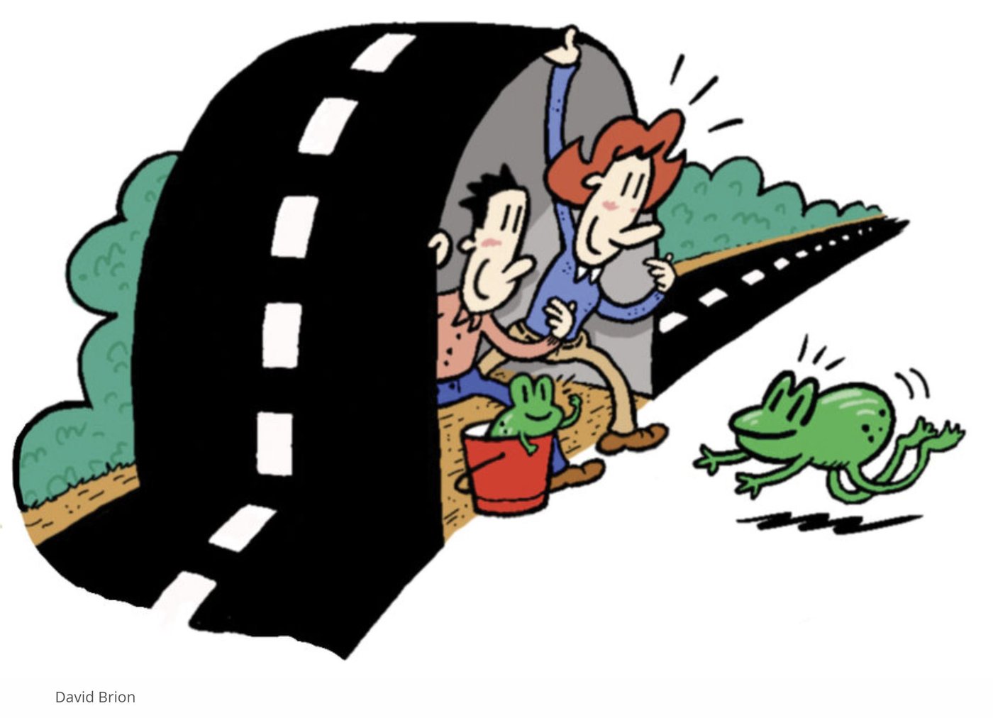 The Curious Annual Ritual of Frog Shuttling and Why People Do It