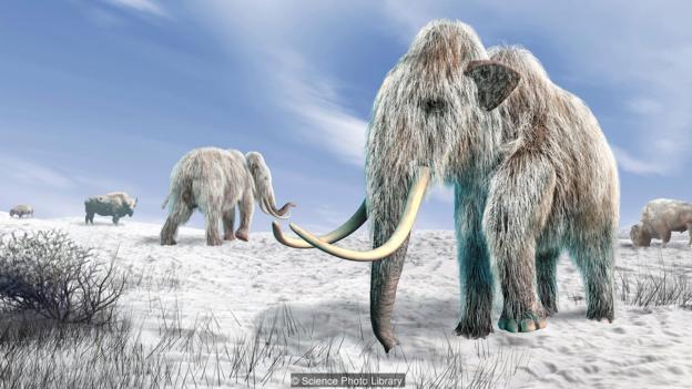 Extinct Animal Zoos, Ungendered Baby Names and How To Save Social Media issue artwork