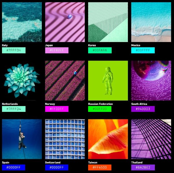 Best Books of 2019, Clever Black Friday Ads, and Most Disgusting News issue artwork