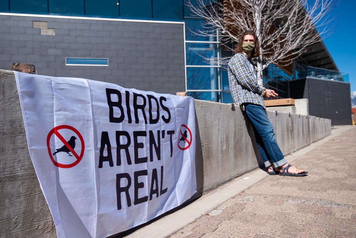 Why I Finally Redesigned My Website, Super Bowl Ad Preview and the Birds Aren't Real Movement issue artwork