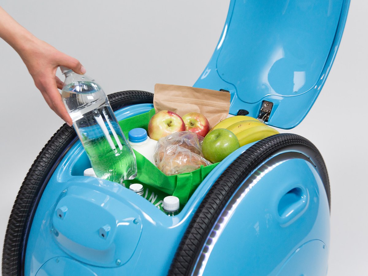 Forget Drones ... Get A "Cargo Robot" To Carry Your Stuff Instead