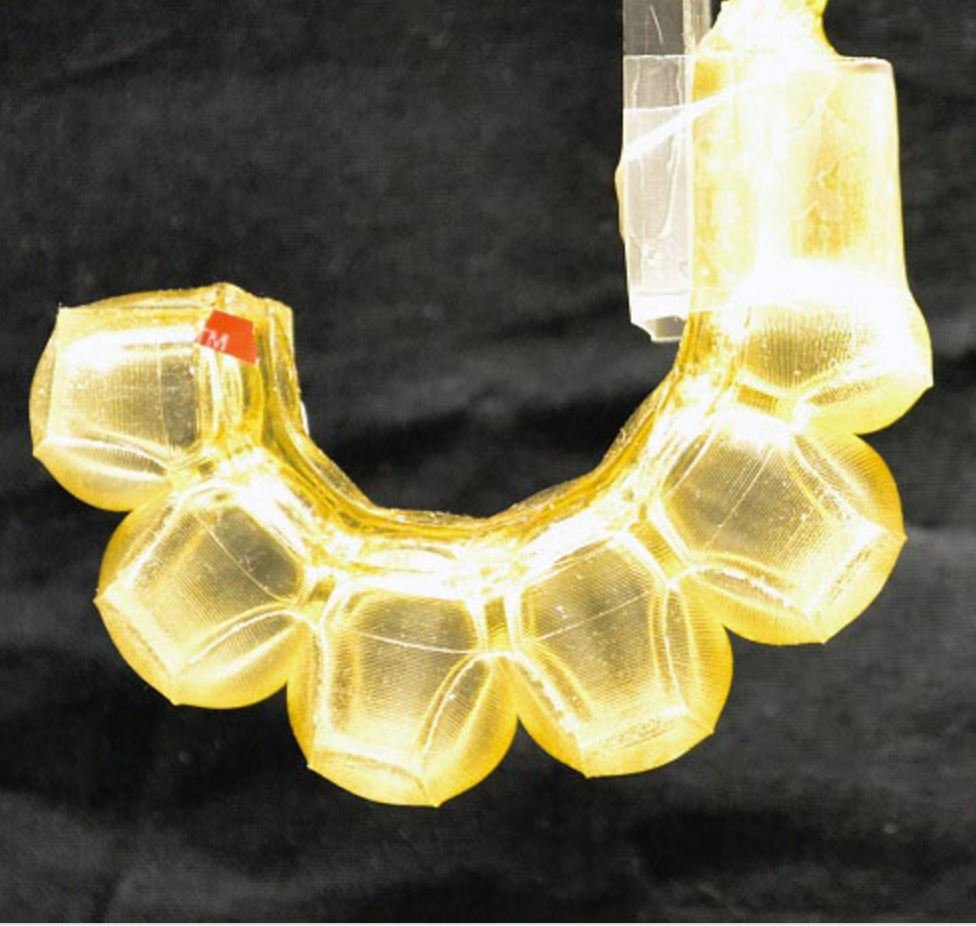 Edible Robots Offer New Ways To Deliver Healthcare
