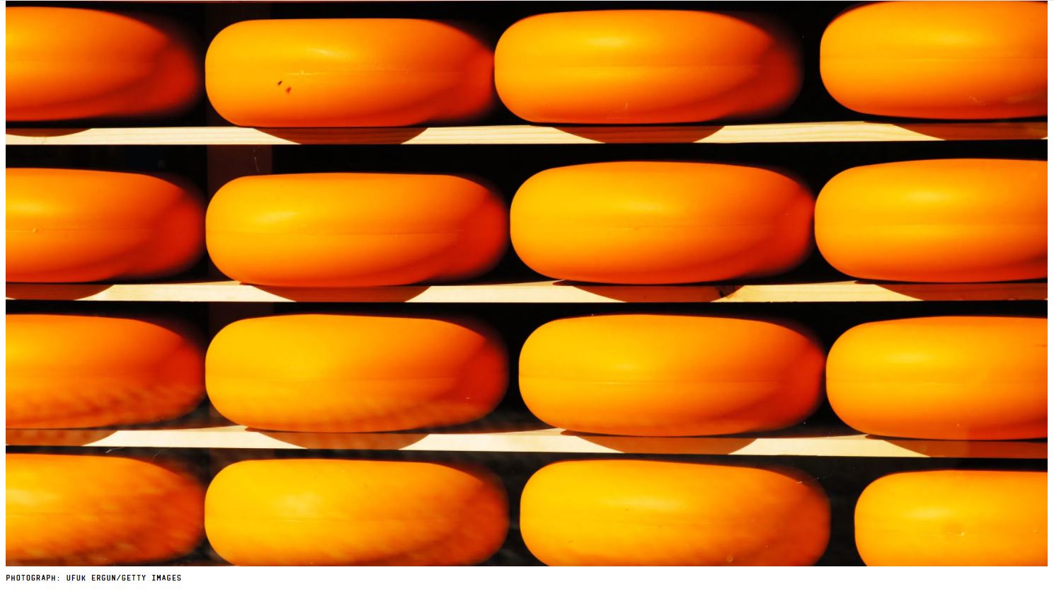 Cheese Isn't Actually Bad For You.