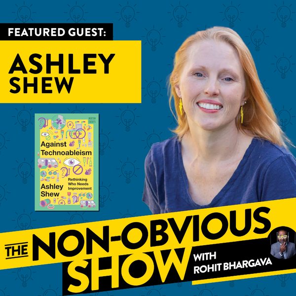 What You Don't Know About Disability with Ashley Shew (#39) episode art