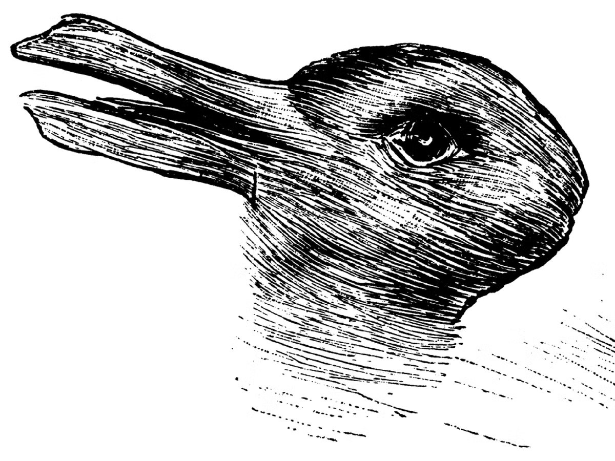 The classic duck-rabbit optical illusion