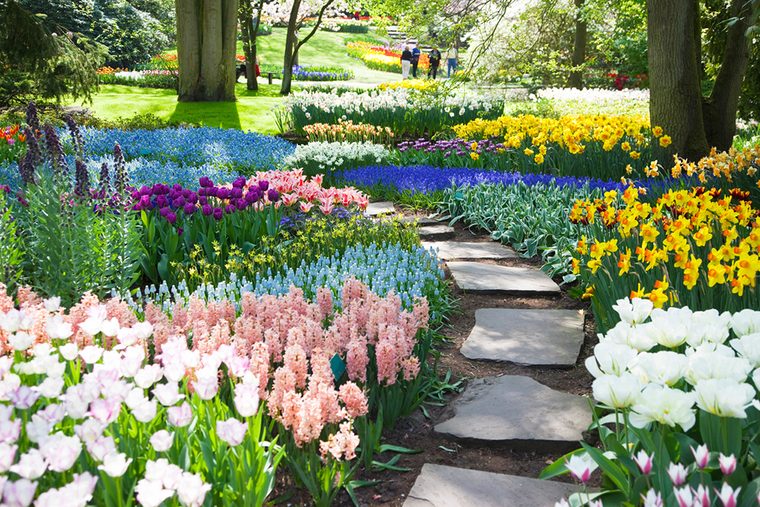 Botanical Gardens & Arboretums