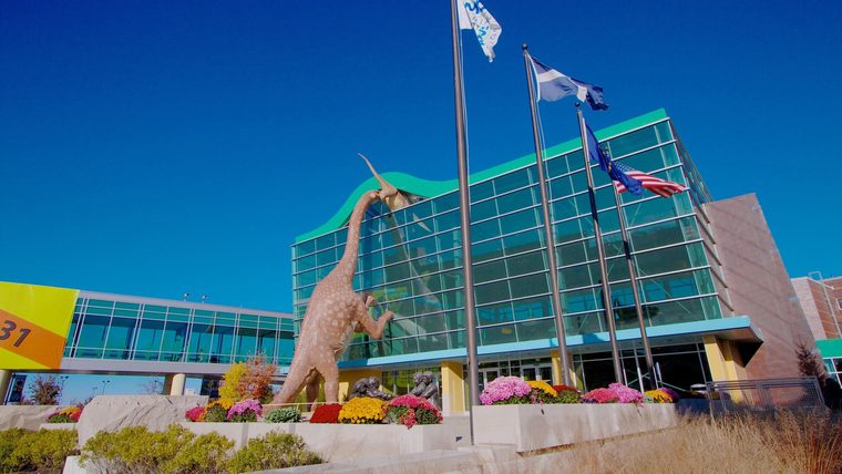 Children&rsquo;s Museums