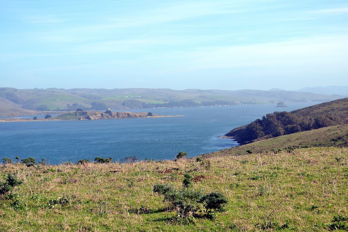 Tomales Bay