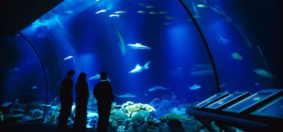 John G. Shedd Aquarium
