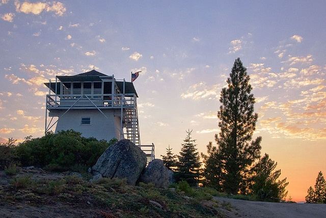Calpine Lookout