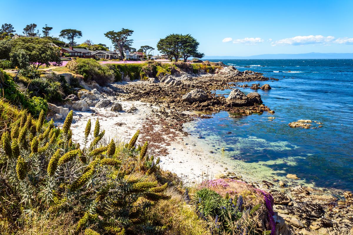 Pacific Grove Monarch Sanctuary
