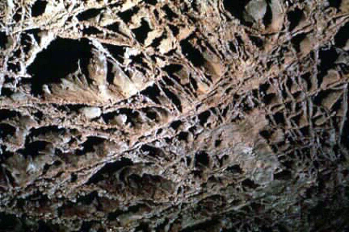 Wind Cave National Park