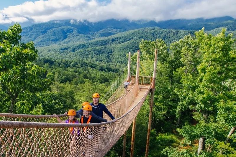 CLIMB Works Zipline Canopy Tour