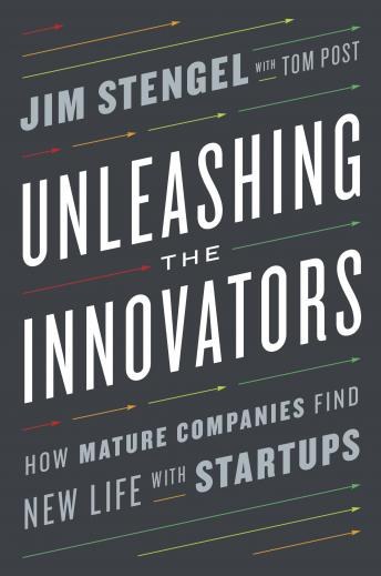 Unleashing the Innovators book cover