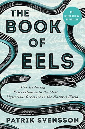 The Book of Eels book cover