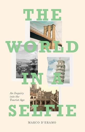 The World in a Selfie book cover