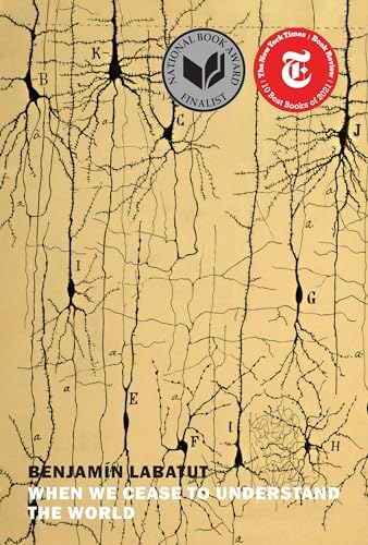 When We Cease to Understand the World by Benjamin Labatut — book cover