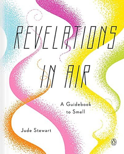Revelations in Air book cover