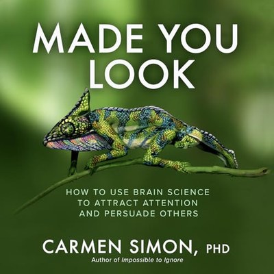 Made You Look book cover
