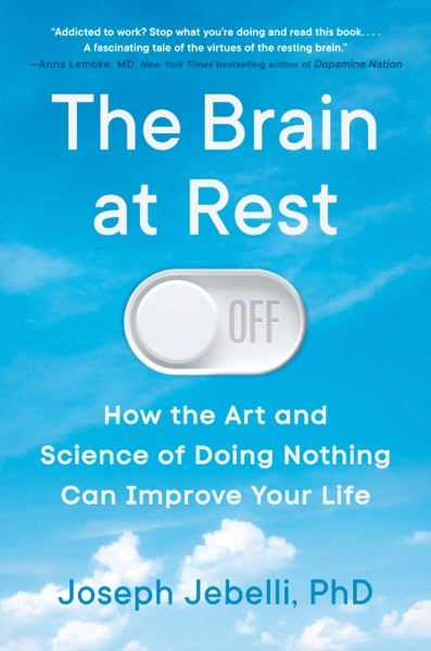 The Brain at Rest book cover