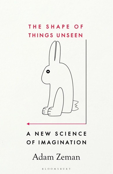 The Shape of Things Unseen book cover