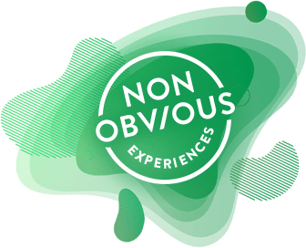 Non-Obvious Experiences