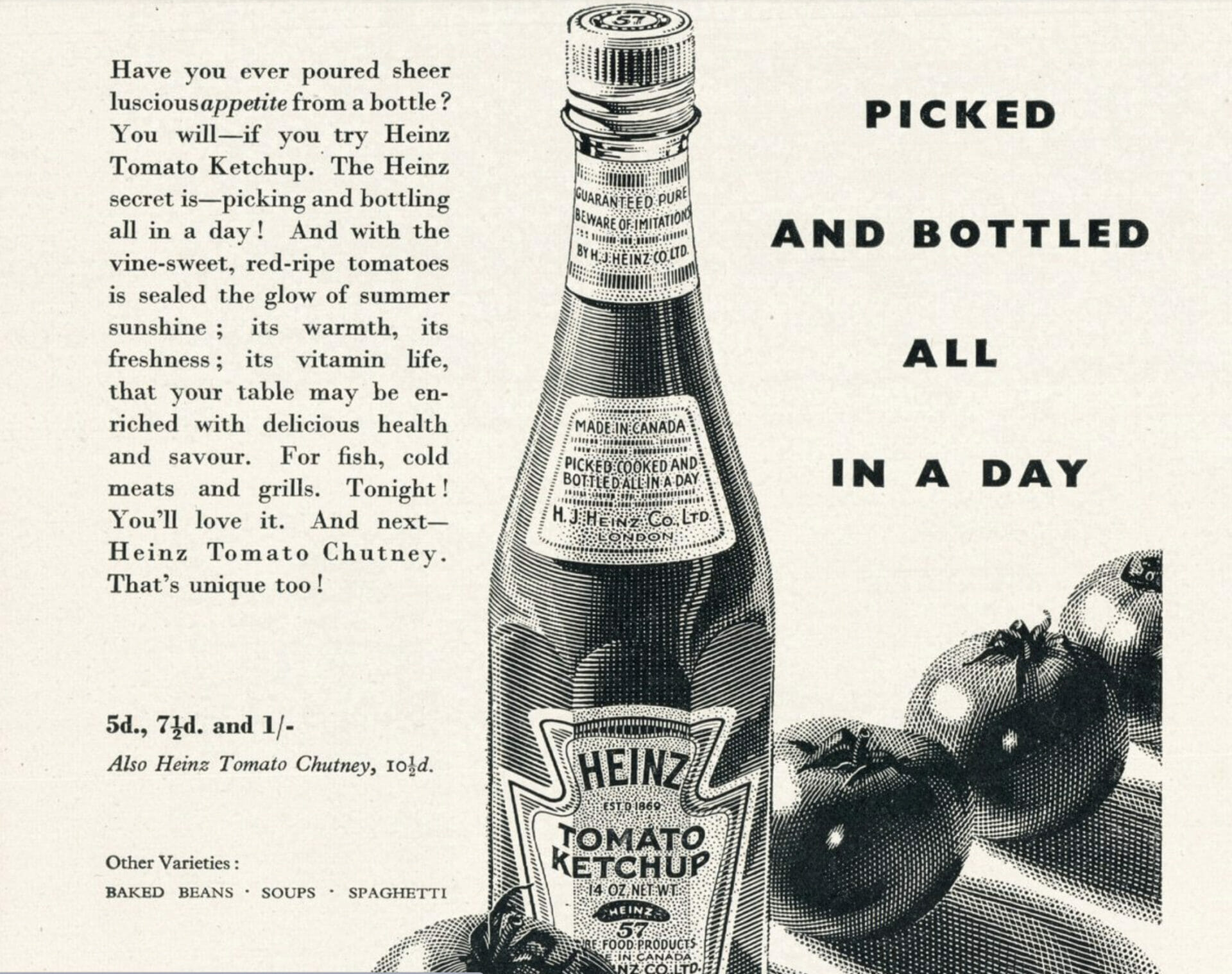 featured image for The Scientist Who Saved Ketchup, a Boat Climbing Walrus and Why Some People Are Left Handed