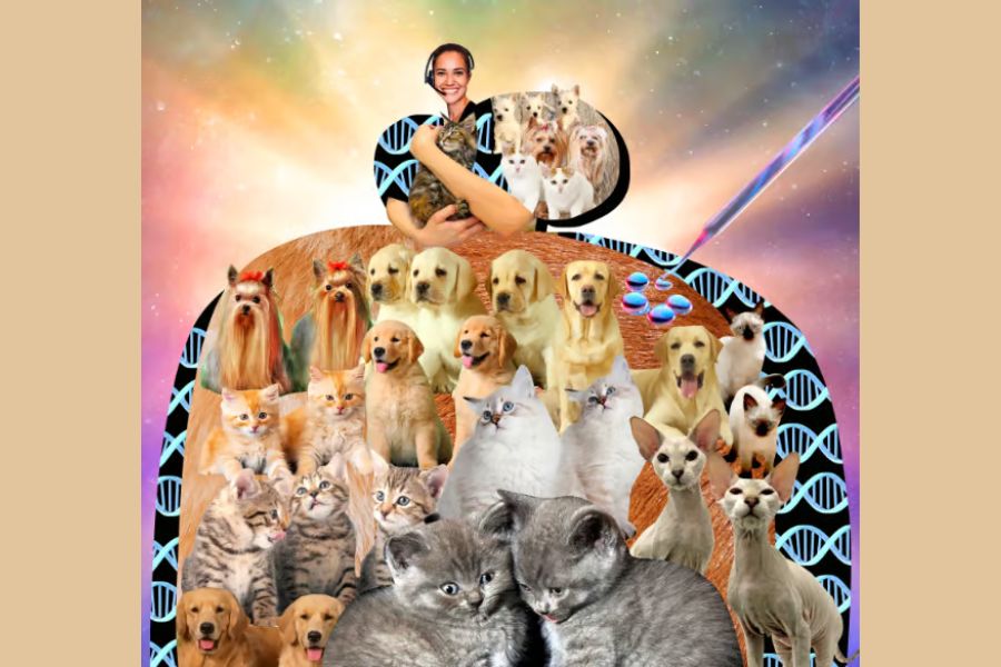 featured image for The Day After the Election, Pet Cloning and TIME’s Best Inventions of 2024 